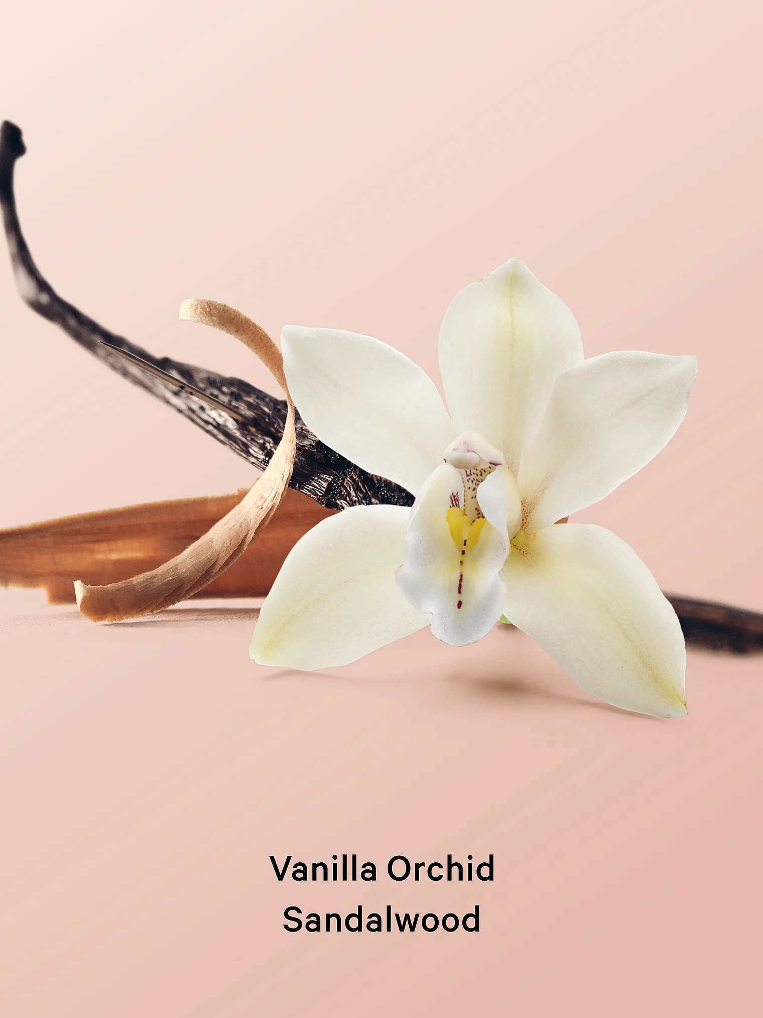 VICTORIA'S SECRET Vanilla Orchid Sandalwood Shimmer Body Oil - Imagem 3