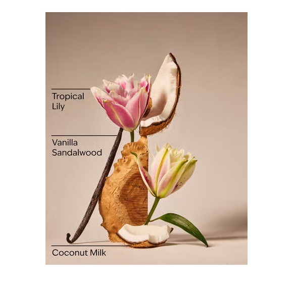 BATH & BODY WORKS Perfume Fine Fragrance Mist EAU de Coconut - Imagem 3